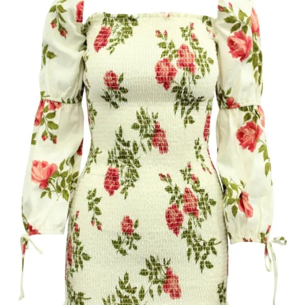 Reformation Hilary Dress in Jolie print